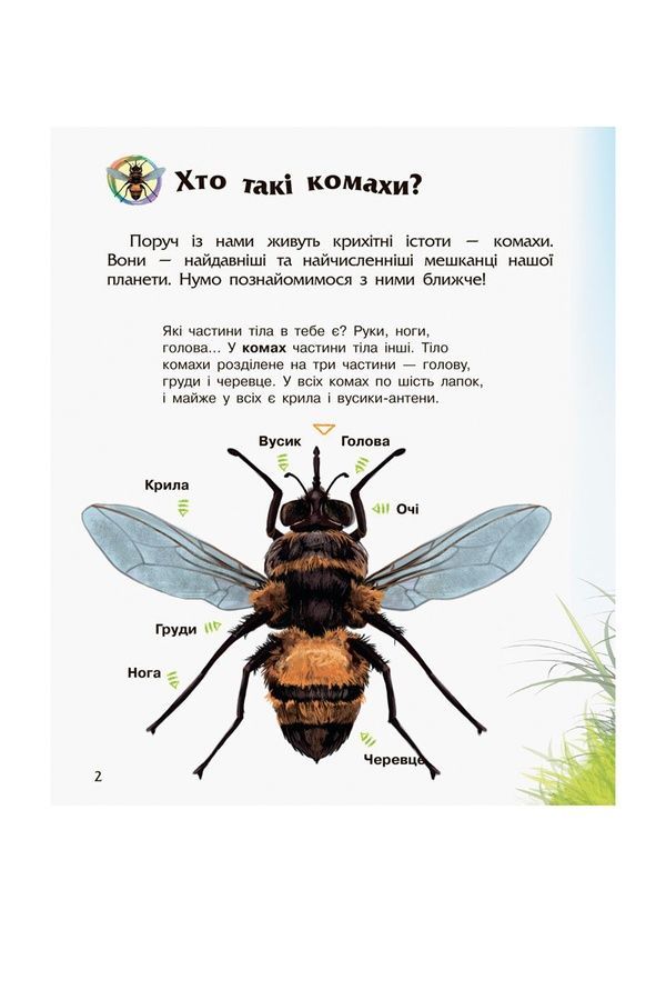 Енциклопедія дошкільника Комахи Видавництво РАНОК С614014У ЦБ-00261572 фото