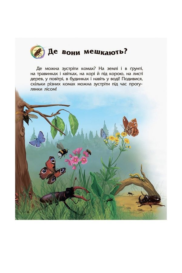 Енциклопедія дошкільника Комахи Видавництво РАНОК С614014У ЦБ-00261572 фото