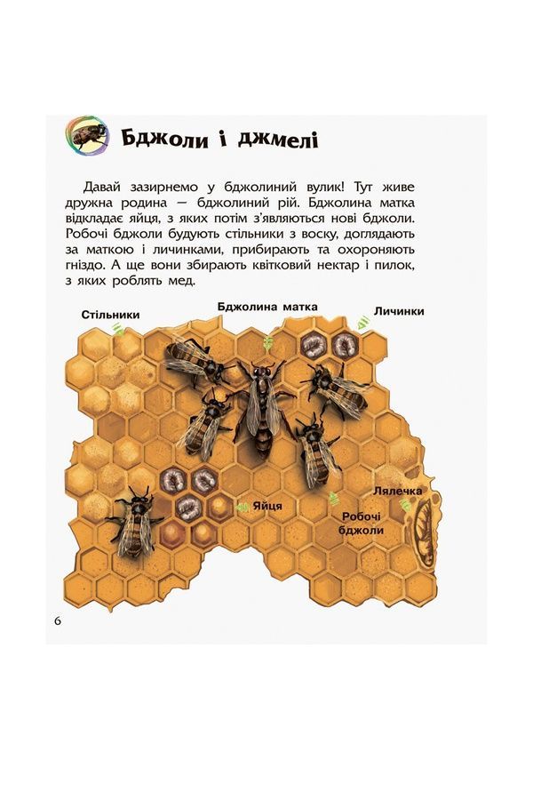 Енциклопедія дошкільника Комахи Видавництво РАНОК С614014У ЦБ-00261572 фото