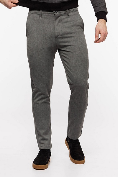 Мужские брюки 56 цвет серый ЦБ-00203639 SKT000874484 фото
