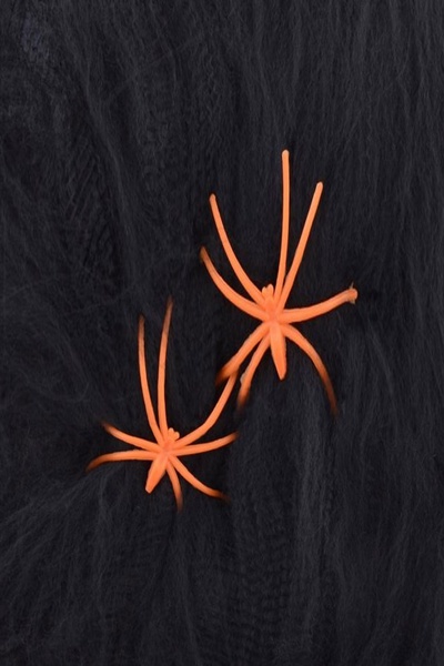 Декор на Хелловін - павутинка з двома павуками колір різнокольоровий ЦБ-00202613 SKT000872538 фото