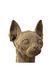 Картонный конструктор "Cartonic 3D Puzzle SPHYNX CAT" Cartonic CARTSPHY ЦБ-00267641 фото 2