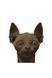 Картонный конструктор "Cartonic 3D Puzzle SPHYNX CAT" Cartonic CARTSPHY ЦБ-00267641 фото 4