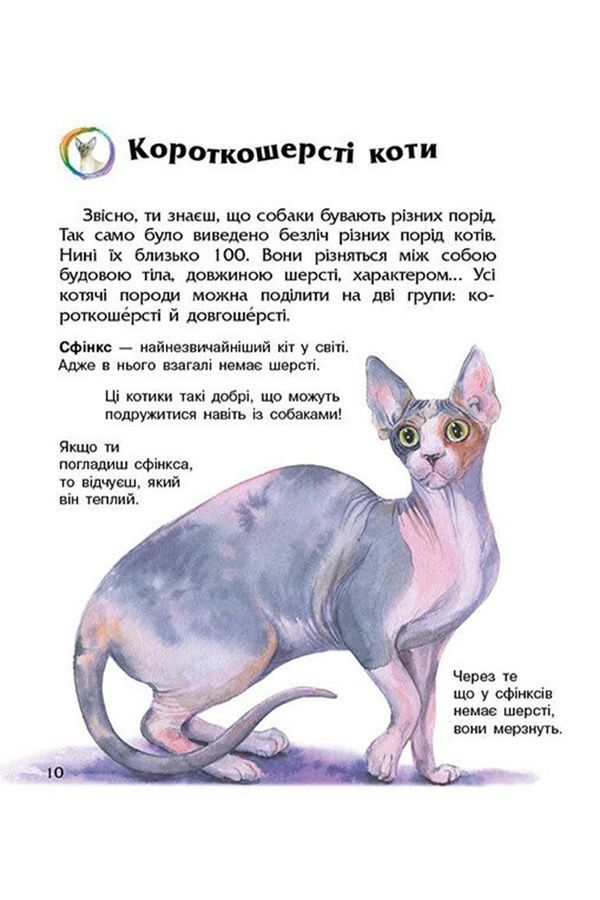 Книга "Энциклопедия дошкольника: Коты" Видавництво РАНОК 524374 ЦБ-00296723 фото