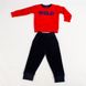 Пижама зимняя на мальчика 104 цвет красный ЦБ-00139135 SKT000500532 фото 5