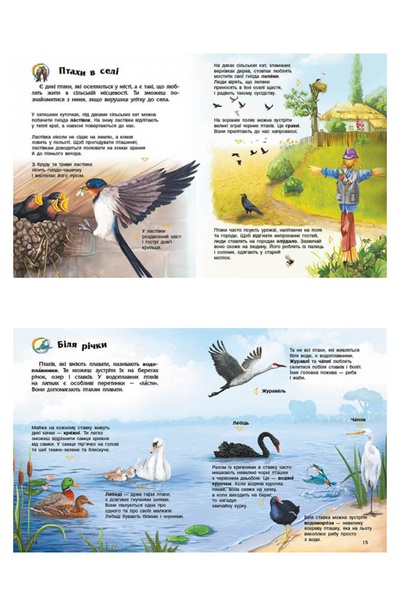 Енциклопедія дошкільника: Птахи колір різнокольоровий ЦБ-00163308 SKT000552900 фото
