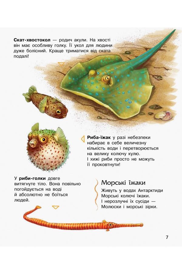 Книга "Енциклопедія дошкільника: Океани та моря" Видавництво РАНОК 525122 ЦБ-00296724 фото