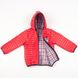 Куртка коротка на хлопчика 110 колір червоний ЦБ-00148437 SKT000509576 фото 2