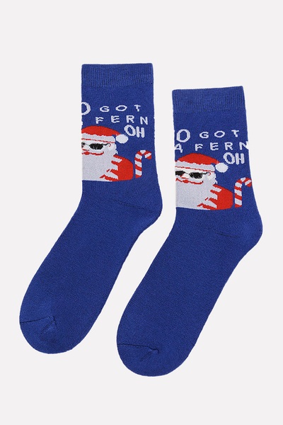 Чоловічі шкарпетки 40-42 колір синій ЦБ-00203160 SKT000873681 фото