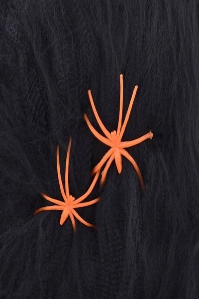 Декор на Хелловін - павутинка з двома павуками колір різнокольоровий ЦБ-00202615 SKT000872540 фото