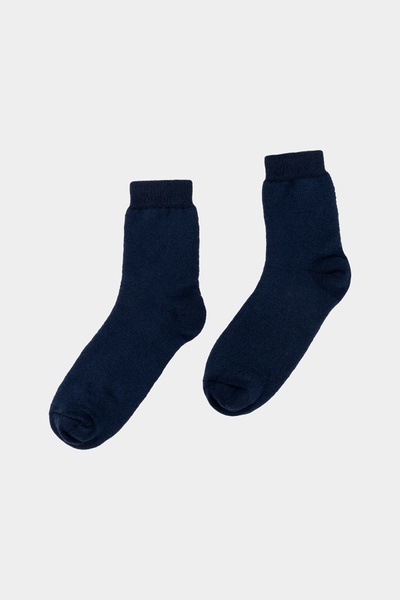 Чоловічі шкарпетки 40-42 колір темно-синій ЦБ-00234521 SKT000944127 фото