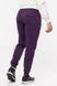 Чоловічі спортивні штани 42 колір фіолетовий ЦБ-00210683 SKT000890279 фото 3