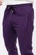 Мужские спортивные штаны 42 цвет фиолетовый ЦБ-00210683 SKT000890279 фото 2