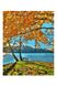 Картина по номерам "Осеннее озеро" цвет разноцветный ЦБ-00234034 SKT000942921 фото 1