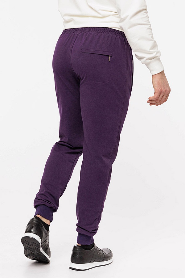 Мужские спортивные штаны 42 цвет фиолетовый ЦБ-00210683 SKT000890279 фото