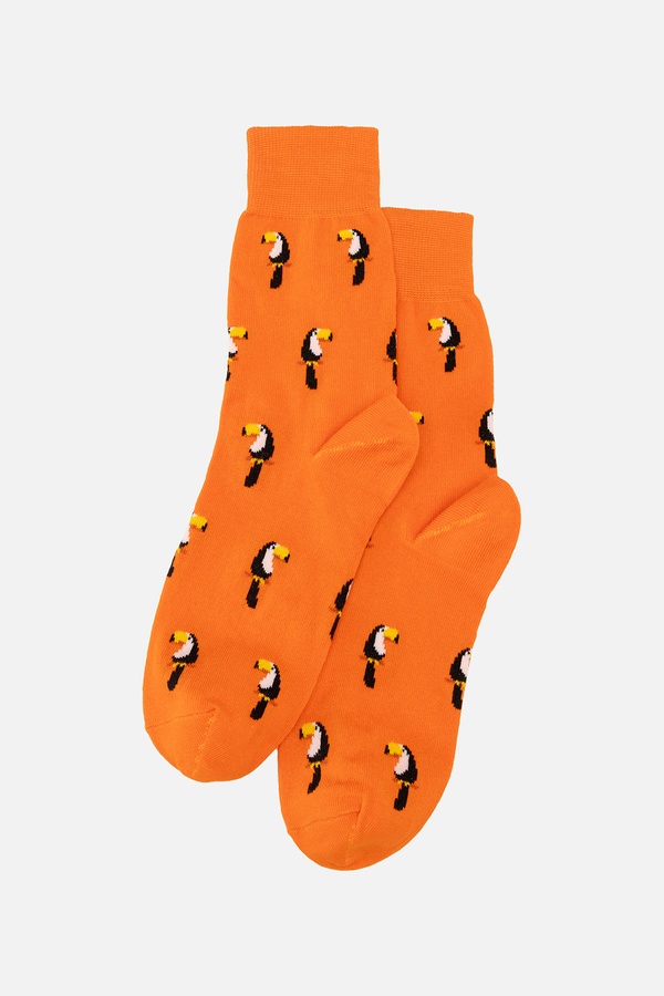 Чоловічі шкарпетки 40-42 колір помаранчевий ЦБ-00245286 SKT000981113 фото