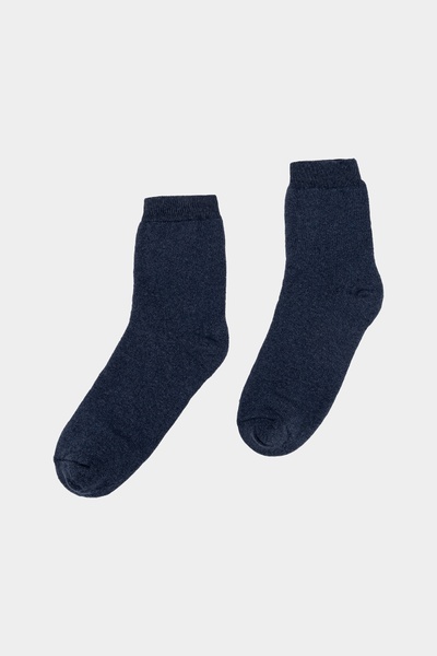 Чоловічі шкарпетки 40-42 колір синій ЦБ-00234522 SKT000944128 фото