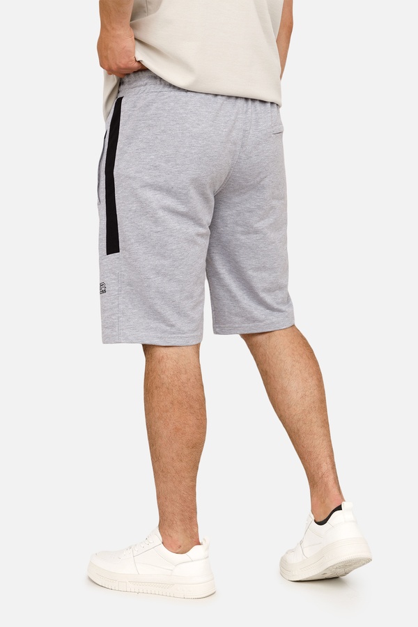 Мужские спортивные шорты 44 цвет светло-серый ЦБ-00251756 SKT000997365 фото