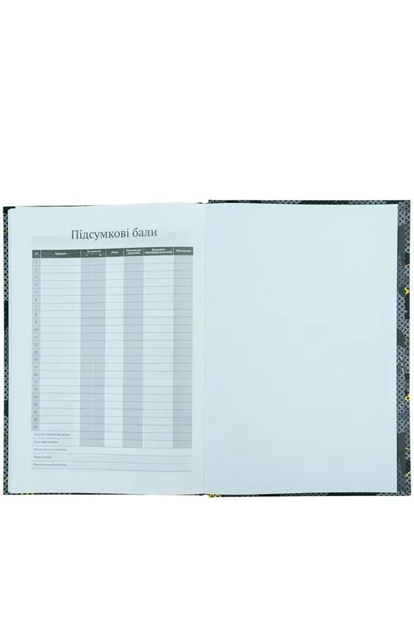 Щоденник шкільний Kite DC KITE DC24-262-2 ЦБ-00256783 фото