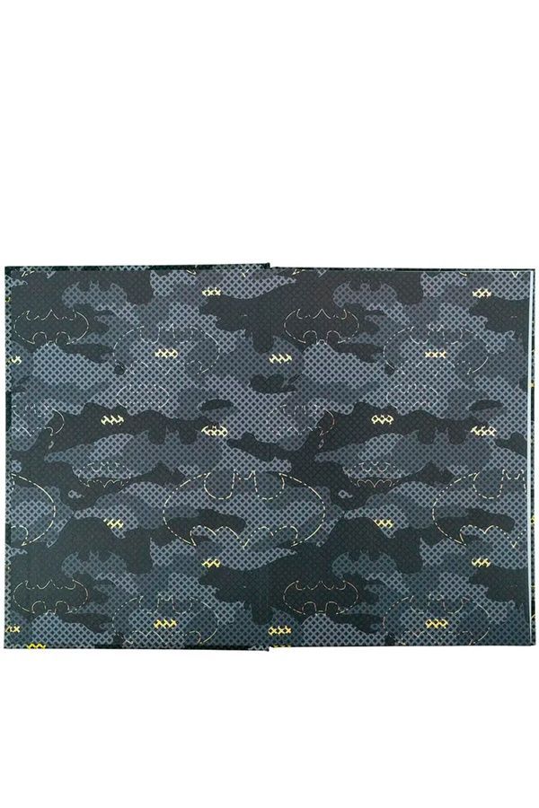 Щоденник шкільний Kite DC KITE DC24-262-2 ЦБ-00256783 фото