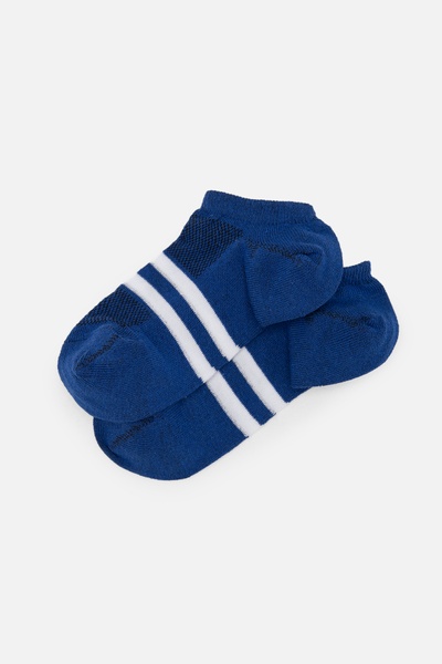 Шкарпетки для хлопчика 38-40 колір синій ЦБ-00249701 SKT000991645 фото