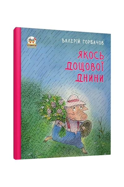 Книга "Якось дощової днини" колір різнокольоровий ЦБ-00214527 SKT000896451 фото
