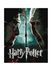 Набор для росписи по номерам WB &laquo;Harry Potter: Гарри и Волдеморт с красками металлик extra&raquo; Ідейка KHO5222 ЦБ-00293907 фото 1