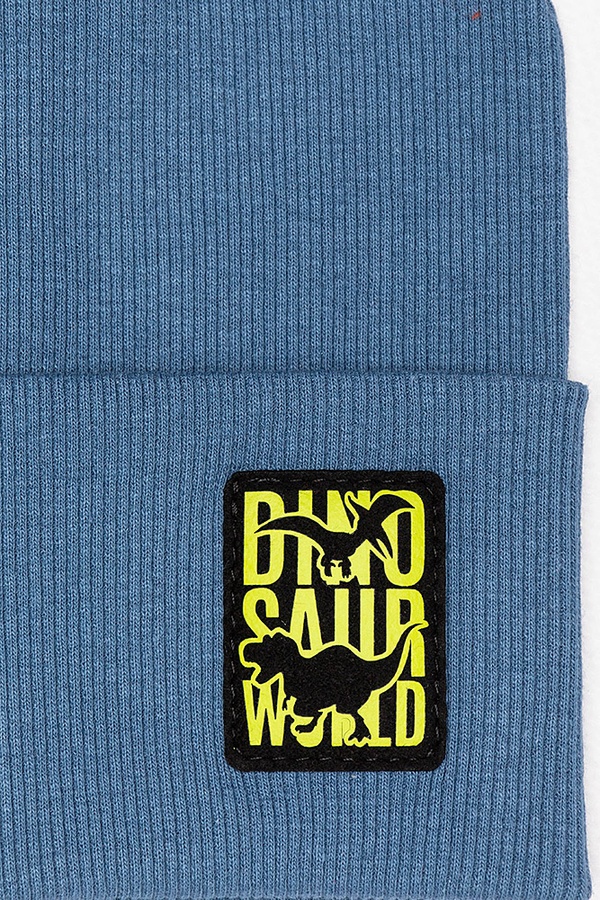 Комплект шапка та шарф на хлопчика 42-44 колір синій ЦБ-00188948 SKT000839150 фото