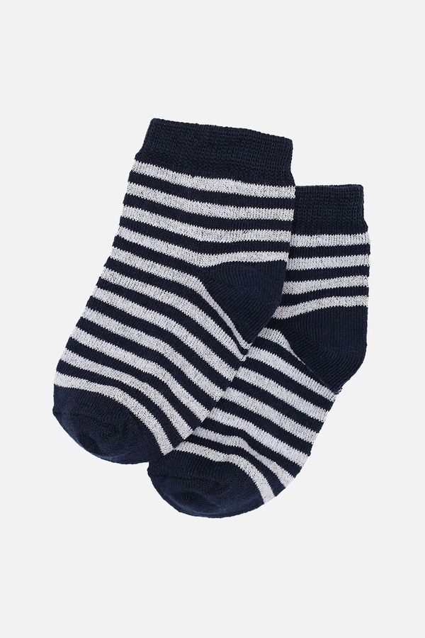 Набір шкарпеток для хлопчика колір різнокольоровий 21-22 ЦБ-00281763 фото