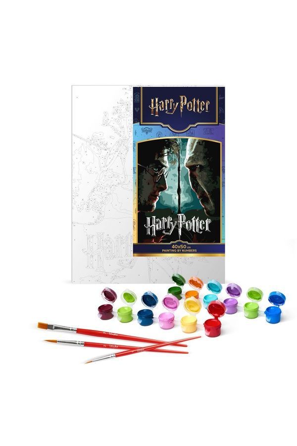 Набор для росписи по номерам WB &laquo;Harry Potter: Гарри и Волдеморт с красками металлик extra&raquo; Ідейка KHO5222 ЦБ-00293907 фото