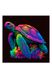 Набір для розпису по номерах - Черепаха у неонових тонах колір різнокольоровий ЦБ-00244668 SKT000979439 фото 1