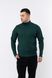 Мужской свитер 46 цвет темно-зеленый ЦБ-00224087 SKT000918928 фото 1
