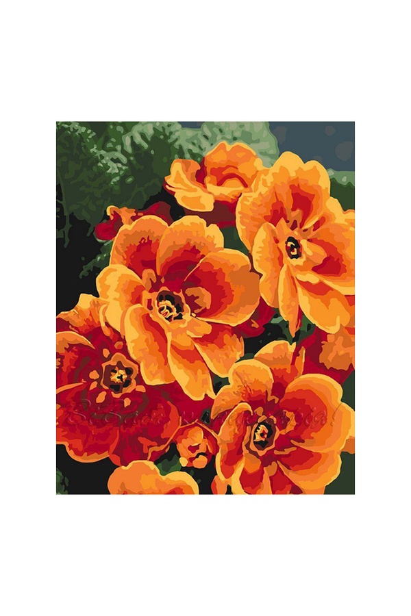 Набор для росписи "Примула оранжевая" 40*50 см цвет разноцветный ЦБ-00110528 SKT000437602 фото