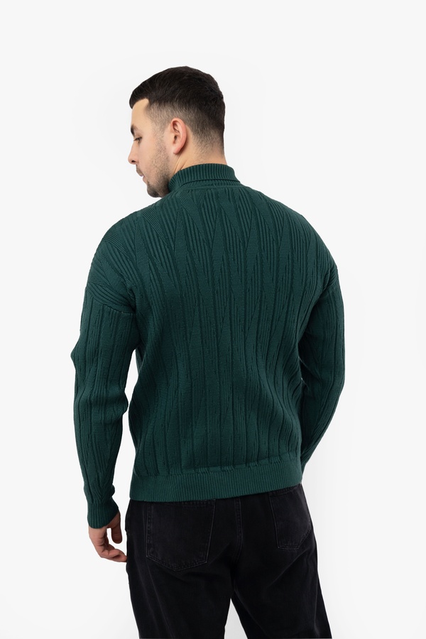 Мужской свитер 46 цвет темно-зеленый ЦБ-00224087 SKT000918928 фото