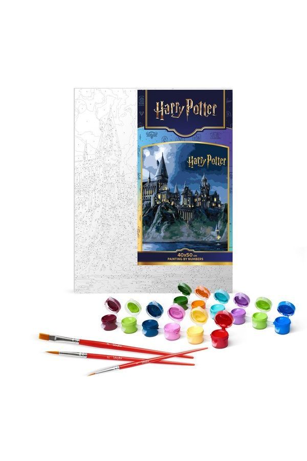 Набор для росписи по номерам WB &laquo;Harry Potter: Хогвартс ночью с красками металлик extra&raquo; Ідейка KHO5230 ЦБ-00293908 фото