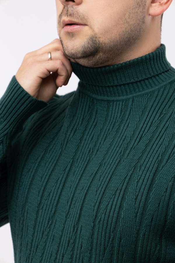 Мужской свитер 46 цвет темно-зеленый ЦБ-00224087 SKT000918928 фото