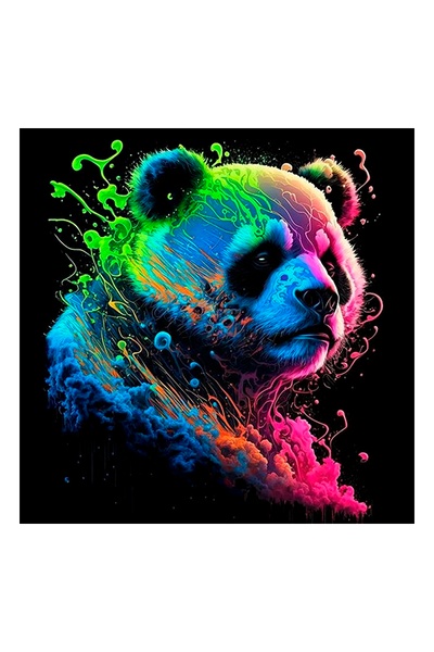 Набір для розпису по номерах - Яскрава панда колір різнокольоровий ЦБ-00244669 SKT000979440 фото