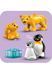 Конструктор LEGO DUPLO Сімейства диких тварин: Пінгвіни та Леви 10442 ЦБ-00271839 фото 5