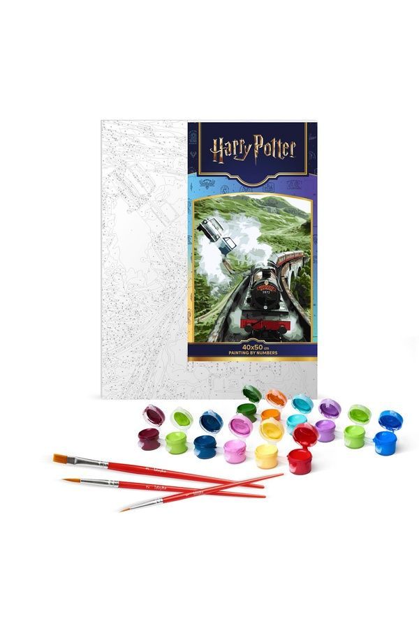 Набор для росписи по номерам WB &laquo;Harry Potter: Полет в Хогвартс&raquo; Ідейка KHO5231 ЦБ-00293909 фото