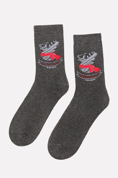 Чоловічі шкарпетки 40-42 колір темно-сірий ЦБ-00203161 SKT000873682 фото