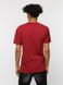 Чоловіча футболка регуляр 48 колір бордовий ЦБ-00219816 SKT000908167 фото 3