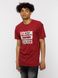 Чоловіча футболка регуляр 48 колір бордовий ЦБ-00219816 SKT000908167 фото 1