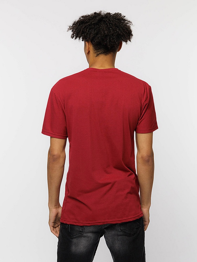 Чоловіча футболка регуляр 48 колір бордовий ЦБ-00219816 SKT000908167 фото