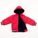 Куртка коротка на хлопчика 86 колір червоний ЦБ-00147807 SKT000508257 фото 2