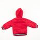 Куртка коротка на хлопчика 86 колір червоний ЦБ-00147807 SKT000508257 фото 3
