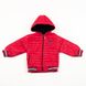 Куртка коротка на хлопчика 86 колір червоний ЦБ-00147807 SKT000508257 фото 1