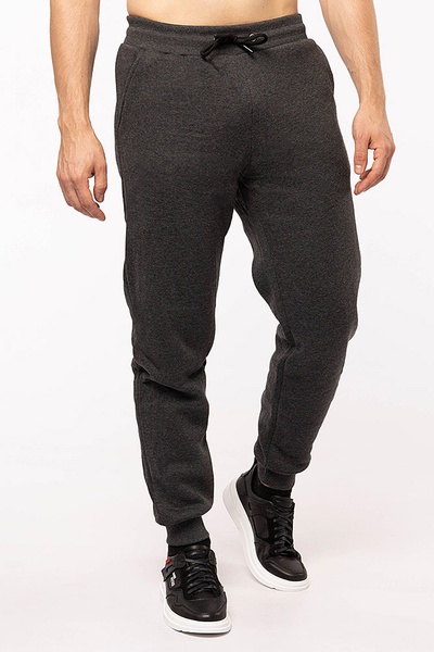 Чоловічі спортивні штани колір темно-сірий ЦБ-00198175 SKT000863216 фото