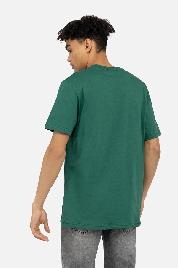Чоловіча футболка 44 колір зелений ЦБ-00245619 SKT000982250 фото