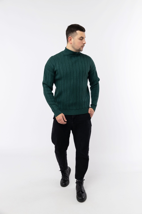 Чоловічий светр 52 колір темно-зелений ЦБ-00224087 SKT000918931 фото