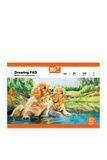 Альбом для рисования YES Orange Line Pets YES 130608 ЦБ-00283183 фото